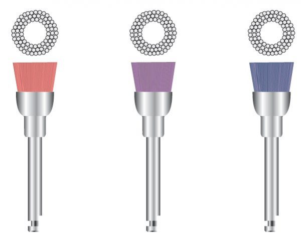 Prophy Nylon Brush